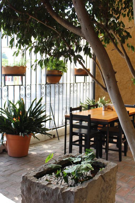 Hotel Rustiko Oaxaca Экстерьер фото
